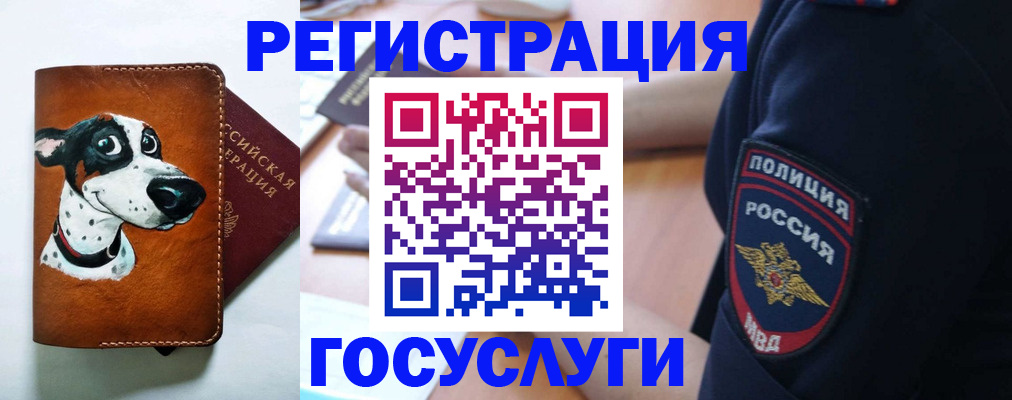 временная регистрация в квартире в Ельне